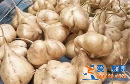 哪些食物可以調理脾胃？？