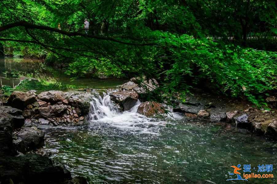 暑假去哪里旅游最好，暑假去哪里旅游涼快？