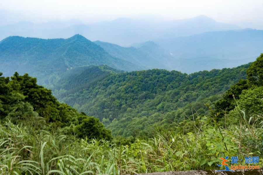 暑假去哪里旅游最好，暑假去哪里旅游涼快？