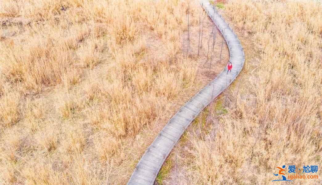 張家港有什么好玩的地方,張家港一日游必去景點(diǎn),張家港旅游攻略? 張家港有什么好玩的地方,張家港一日游必去景點(diǎn),張家港旅游攻略?