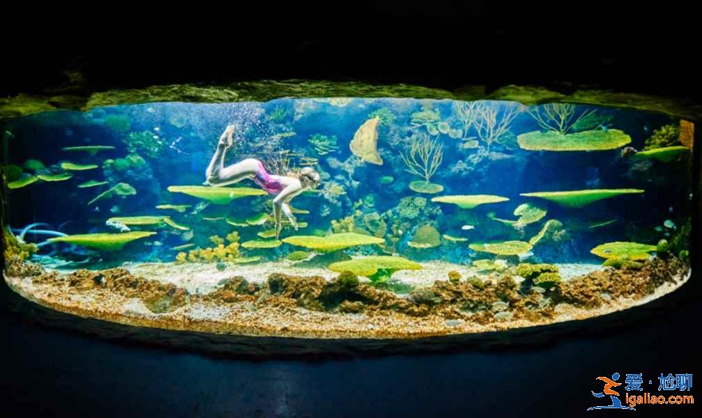 【門票】南昌萬達海洋樂園門票多少錢，南昌萬達海洋樂園門票價格？