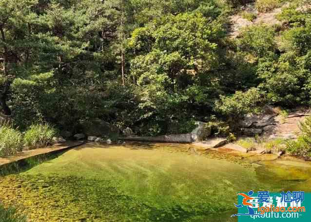 2021清明節(jié)昆崳山國家森林公園交通管控及游路管制信息？