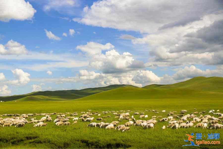 六月呼倫貝爾有什么好玩的地方，呼倫貝爾六月旅游好去處？
