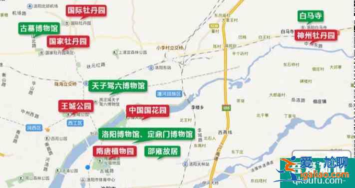 2021洛陽牡丹花哪里最好看? 2021洛陽牡丹花哪里最好看?