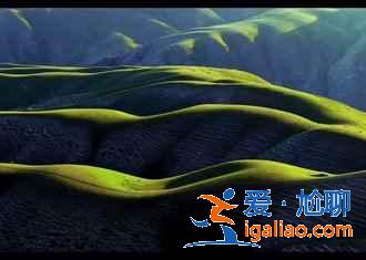 中國(guó)最美的6大草原,最美的夏天在這里? 中國(guó)最美的6大草原,最美的夏天在這里?