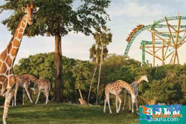 2021懷柔鹿世界主題公園開門了嗎 懷柔鹿世界4月3日正式開園？