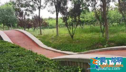 臺湖公園現在能去嗎 臺湖公園兒童游樂場？