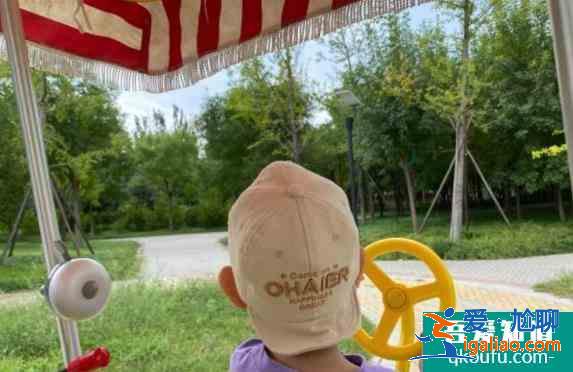 臺湖公園現在能去嗎 臺湖公園兒童游樂場？