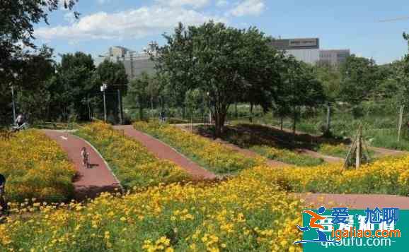 亦莊濱河森林公園騎自行車怎么樣？