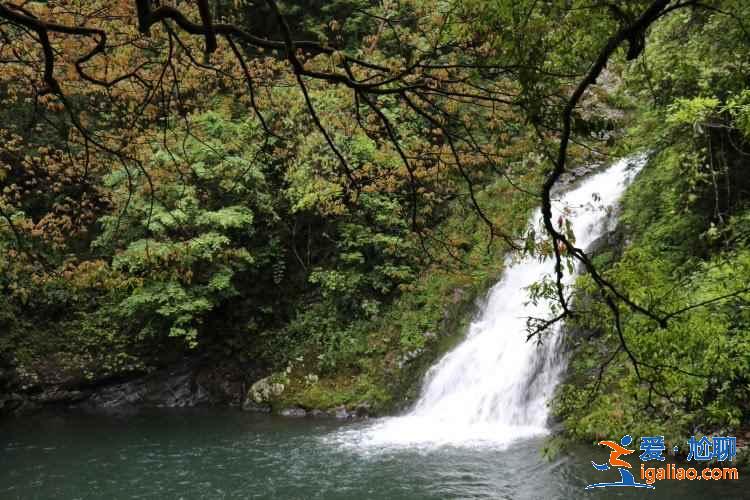 井岡山景點有哪些,井岡山有哪些必看景點,井岡山旅游攻略? 井岡山景點有哪些,井岡山有哪些必看景點,井岡山旅游攻略?