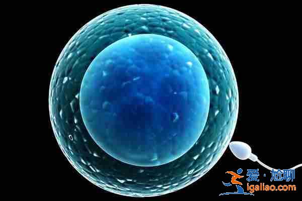 代生男孩全包,為客戶解決問題? 代生男孩全包,為客戶解決問題?