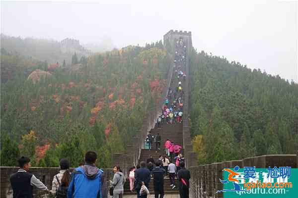 龍口南山景區2021清明節活動匯總？
