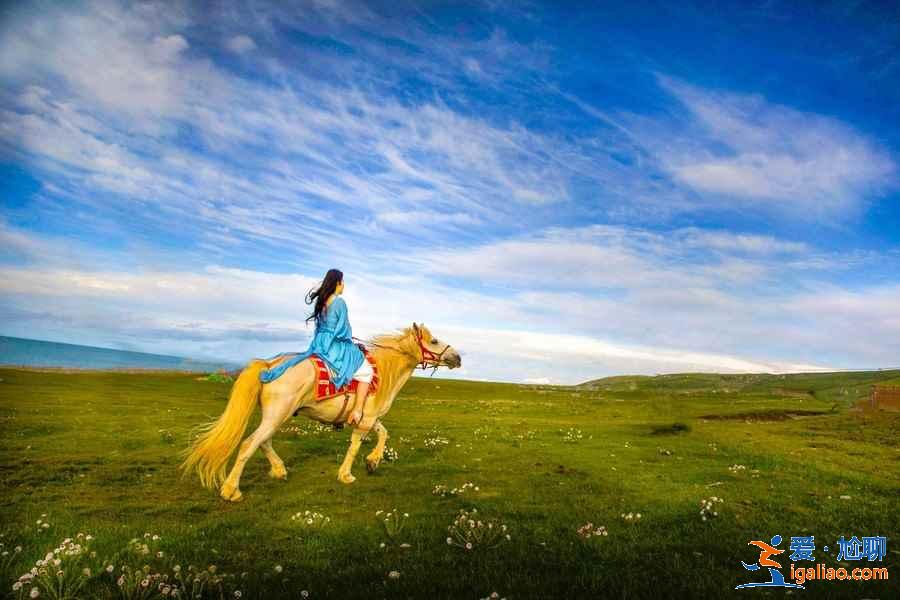 呼倫貝爾騎馬多少錢,呼倫貝爾騎馬地點及價格? 呼倫貝爾騎馬多少錢,呼倫貝爾騎馬地點及價格?