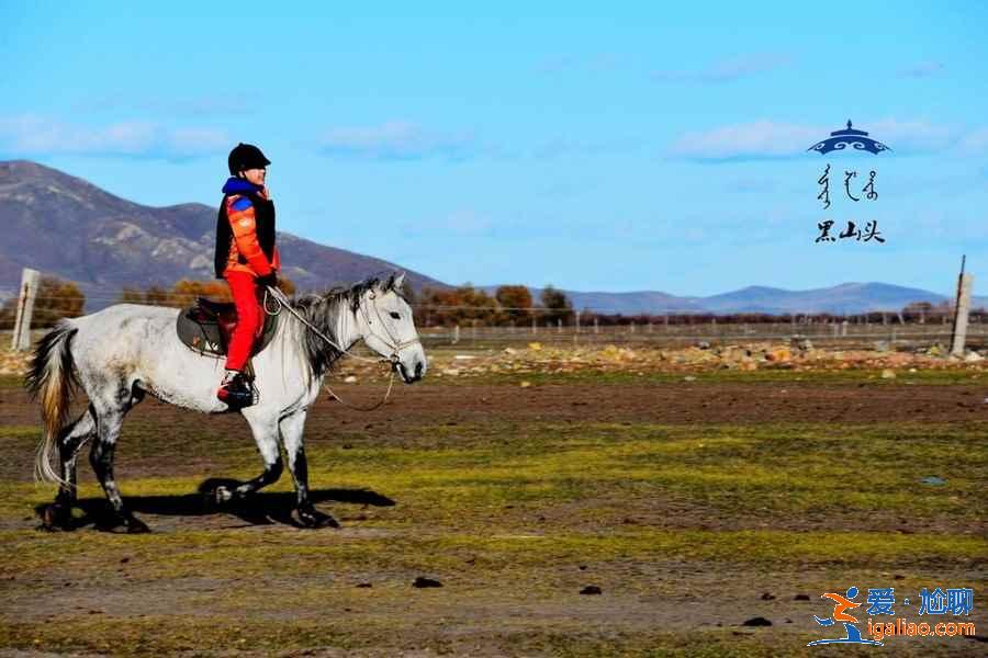 呼倫貝爾騎馬多少錢,呼倫貝爾騎馬地點及價格? 呼倫貝爾騎馬多少錢,呼倫貝爾騎馬地點及價格?