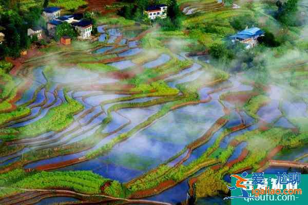 2021重慶踏青去哪兒玩 重慶踏青游玩路線推薦？