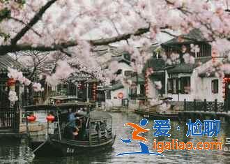 嘉興有什么好玩的地方,嘉興好玩的景點(diǎn),嘉興哪里好玩? 嘉興有什么好玩的地方,嘉興好玩的景點(diǎn),嘉興哪里好玩?