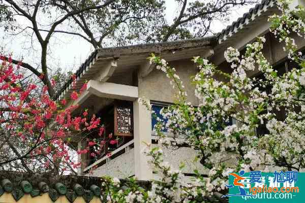 2021重慶踏青去哪兒玩 重慶踏青游玩路線推薦？