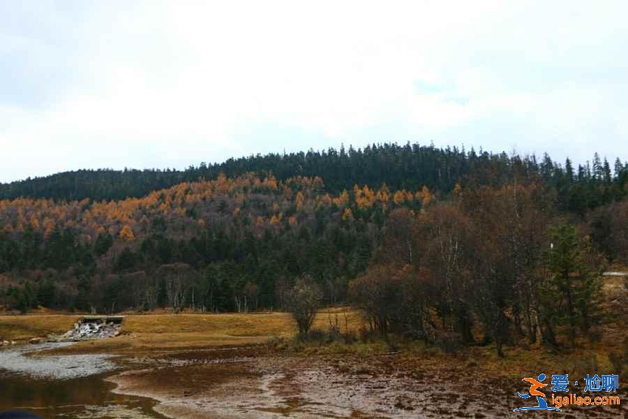 香格里拉兩日游怎么玩,香格里拉自由行攻略,香格里拉兩日游路線推薦? 香格里拉兩日游怎么玩,香格里拉自由行攻略,香格里拉兩日游路線推薦?
