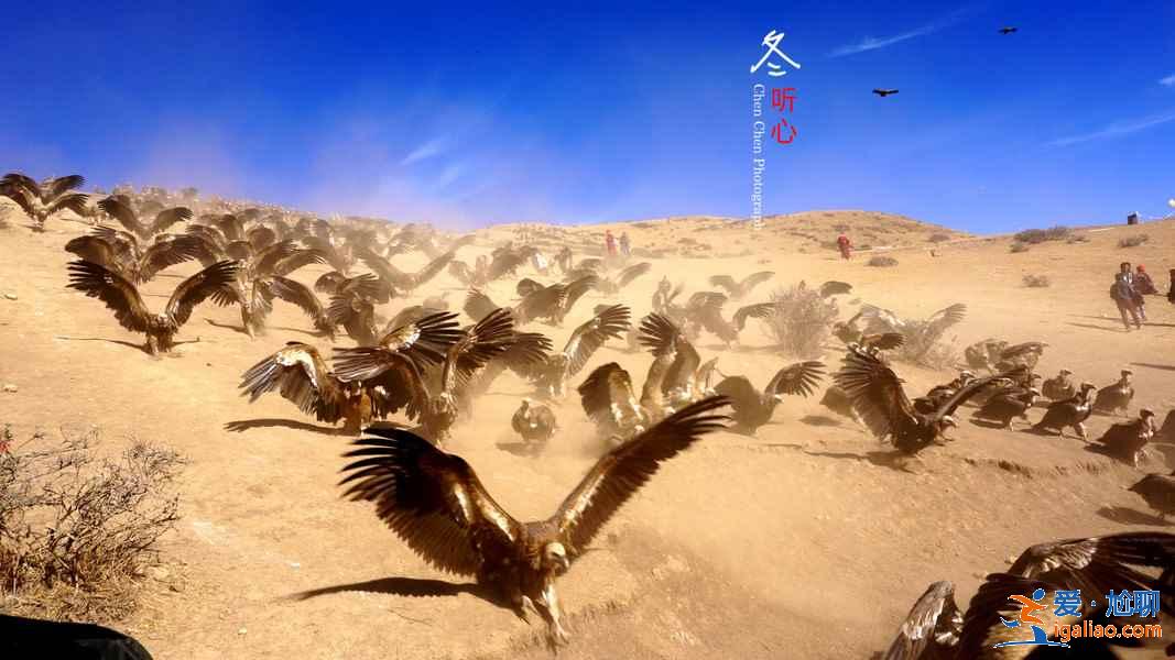 幾月去色達旅游好，什么時候去色達最好，色達最佳旅游季節？