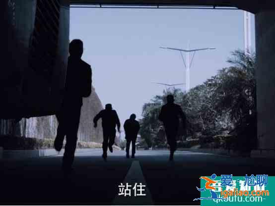 《白夜追兇》結(jié)局你看懂了嗎，最后為什么要吃掉寵物魚“老虎”？
