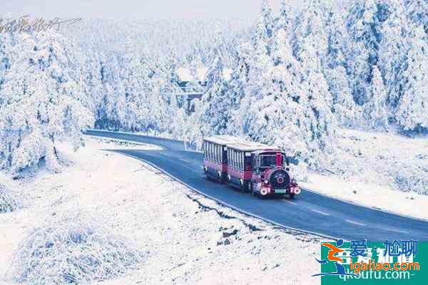 重慶看雪景去哪里比較好 重慶看雪景最佳地點(diǎn)？
