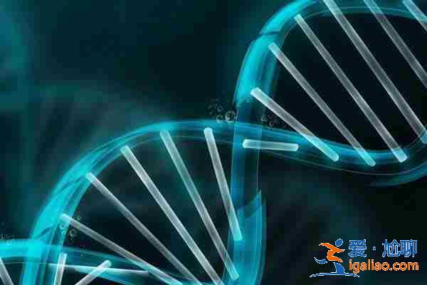 鄭州代懷生子? 鄭州代懷生子?