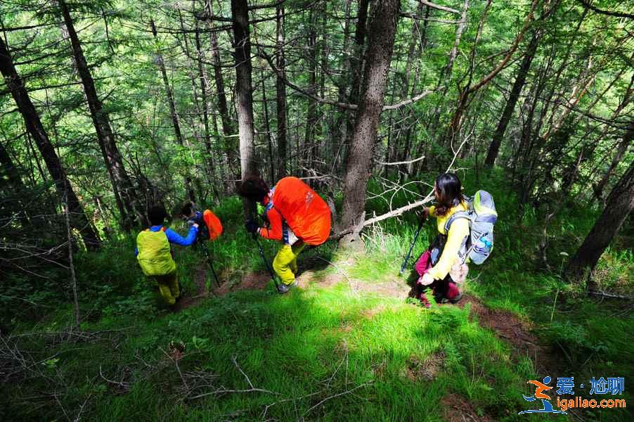 小五臺山門票多少錢，張家口小五臺山門票價格？