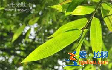 粽葉是什么葉子？？
