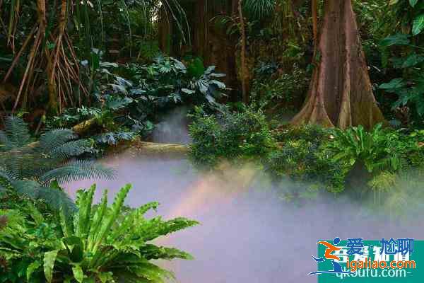 2021廣州華南植物園五一開放嗎 廣州華南植物園門票價(jià)格? 2021廣州華南植物園五一開放嗎 廣州華南植物園門票價(jià)格?