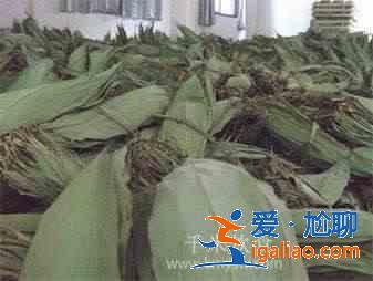 粽葉是什么葉子？？