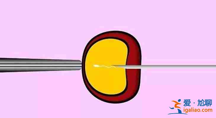 解說一下濟南試管代生男孩「100%包成功」? 解說一下濟南試管代生男孩「100%包成功」?