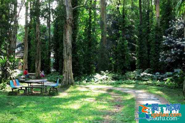 2021廣州華南植物園五一開放嗎 廣州華南植物園門票價(jià)格? 2021廣州華南植物園五一開放嗎 廣州華南植物園門票價(jià)格?