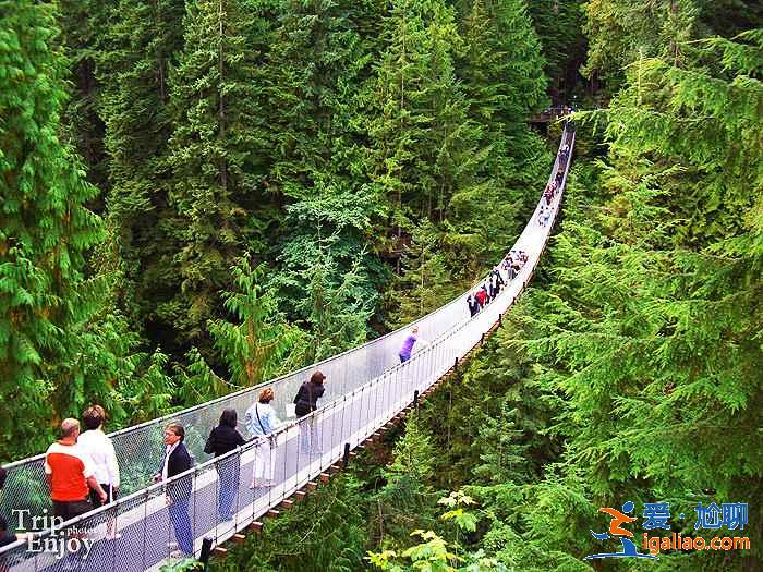 加拿大熱門旅游景點，加拿大必打卡景點推薦，加拿大旅游攻略？