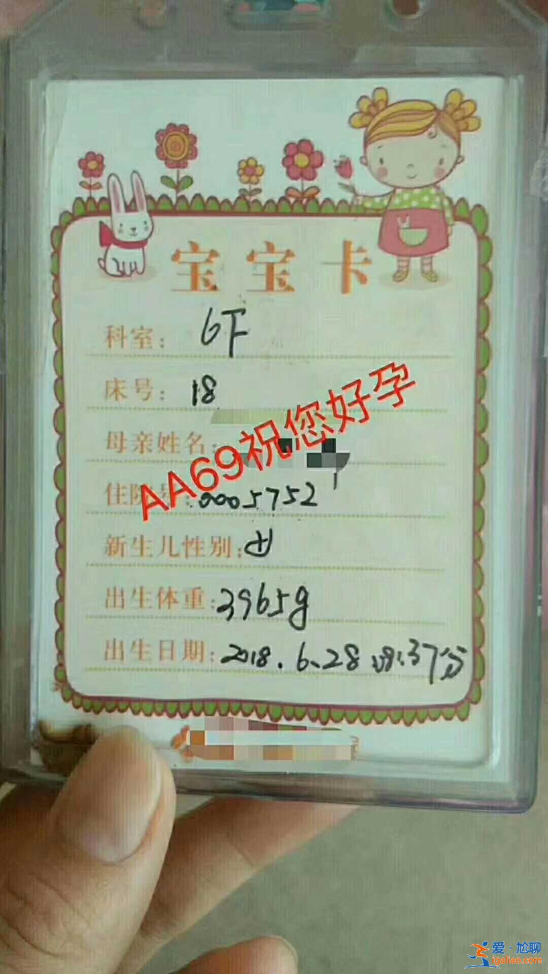 試管代媽QQ群-生男孩全包價？