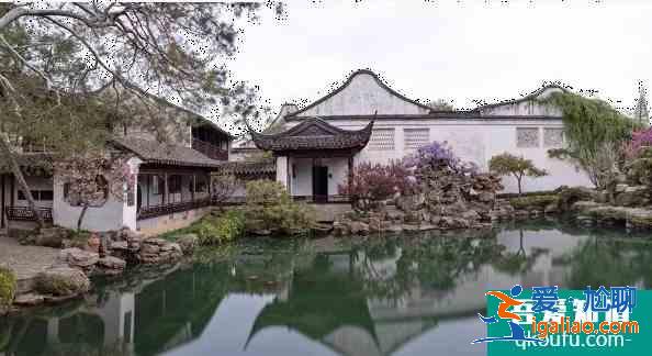 2021蘇州紫藤花什么時候開花？