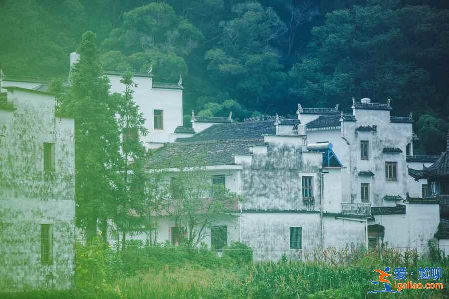 婺源自駕游去哪好,婺源自駕游最佳路線,婺源自駕游攻略? 婺源自駕游去哪好,婺源自駕游最佳路線,婺源自駕游攻略?