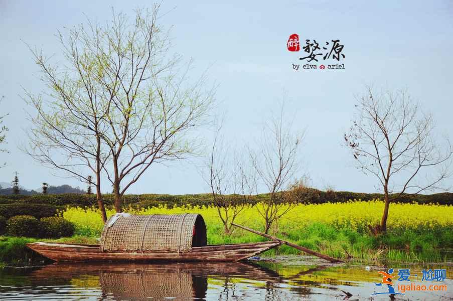 婺源月亮灣景區，婺源月亮灣要門票嗎？