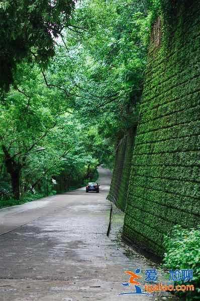 浙江大學哪個校區(qū)好看,浙江大學哪個校區(qū)風景好,浙江大學有幾個校區(qū)? 浙江大學哪個校區(qū)好看,浙江大學哪個校區(qū)風景好,浙江大學有幾個校區(qū)?