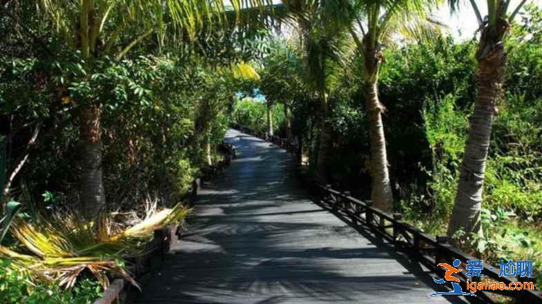 海南5a級景區有哪些,海南5A景區介紹? 海南5a級景區有哪些,海南5A景區介紹?