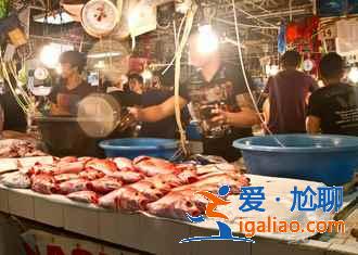 長灘島電話卡怎么購買，長灘島電話卡如何選擇，長灘島電話卡攻略？