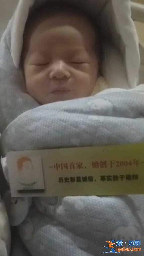 解讀沈陽代包生男孩,直營品牌？