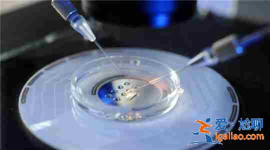 銀川代懷生子,貼心服務? 銀川代懷生子,貼心服務?