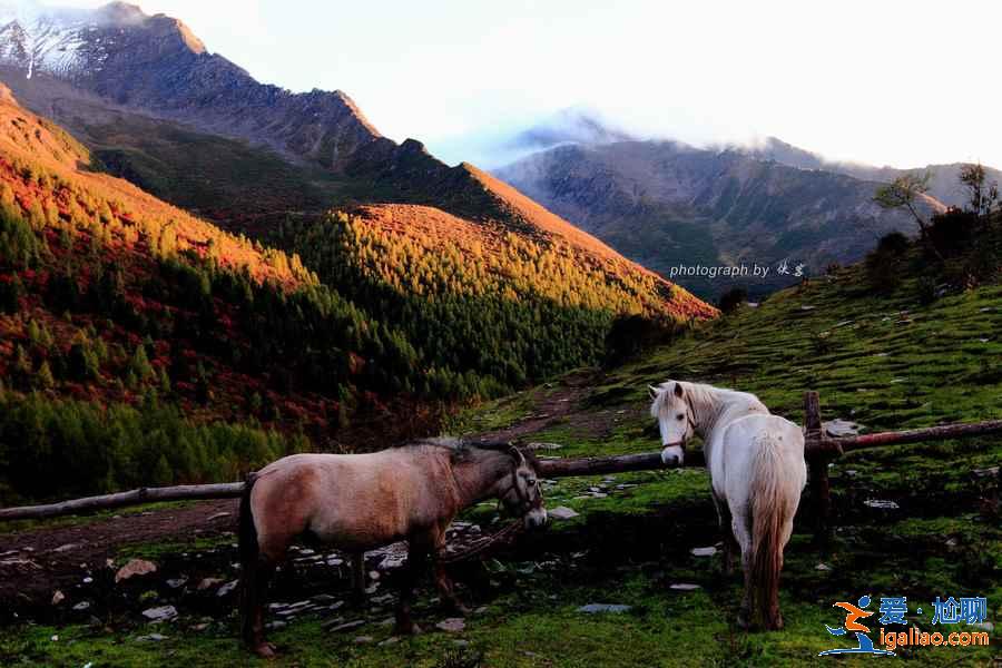 【四姑娘山最佳旅游時間】幾月去四姑娘山最好，四姑娘山好玩嗎？