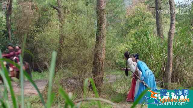 《暮白首》白首夫婦大婚當(dāng)日太虐心，凌虛閣遭剿滅，錯(cuò)在農(nóng)夫救蛇？