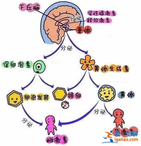 我想替別人代生小孩_這幾家醫(yī)院勸你不要去了? 我想替別人代生小孩_這幾家醫(yī)院勸你不要去了?