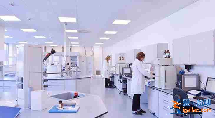 武漢代懷,國內美譽度最高? 武漢代懷,國內美譽度最高?