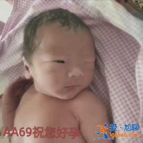 武漢代懷,國內美譽度最高? 武漢代懷,國內美譽度最高?