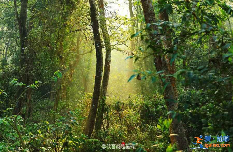 去尼泊爾旅游多少錢，尼泊爾自由行多少錢，尼泊爾旅游費用是多少？