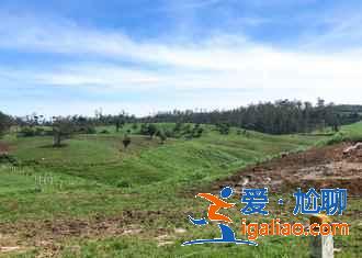斯里蘭卡的五大必體驗，去斯里蘭卡有哪些必玩項目？