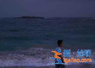 斯里蘭卡的五大必體驗，去斯里蘭卡有哪些必玩項目？